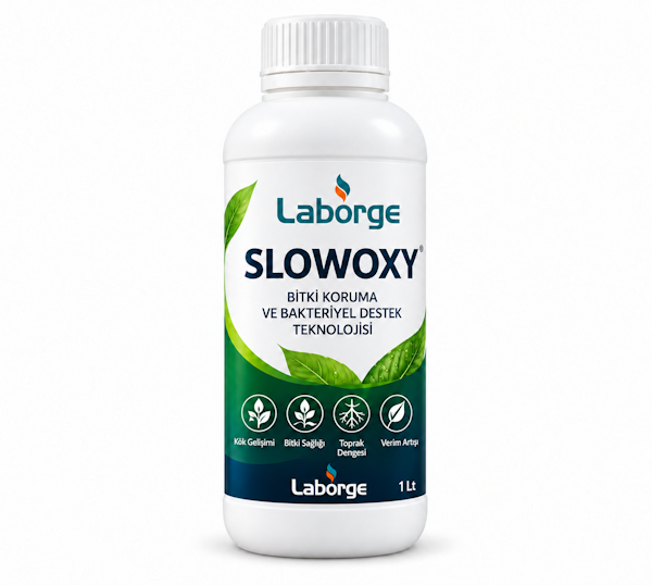 Slowoxy